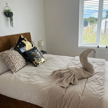 Andis Meadow Apartment Galway